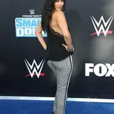 Brie Bella голая #0045