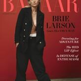 Brie Larson голая #0754