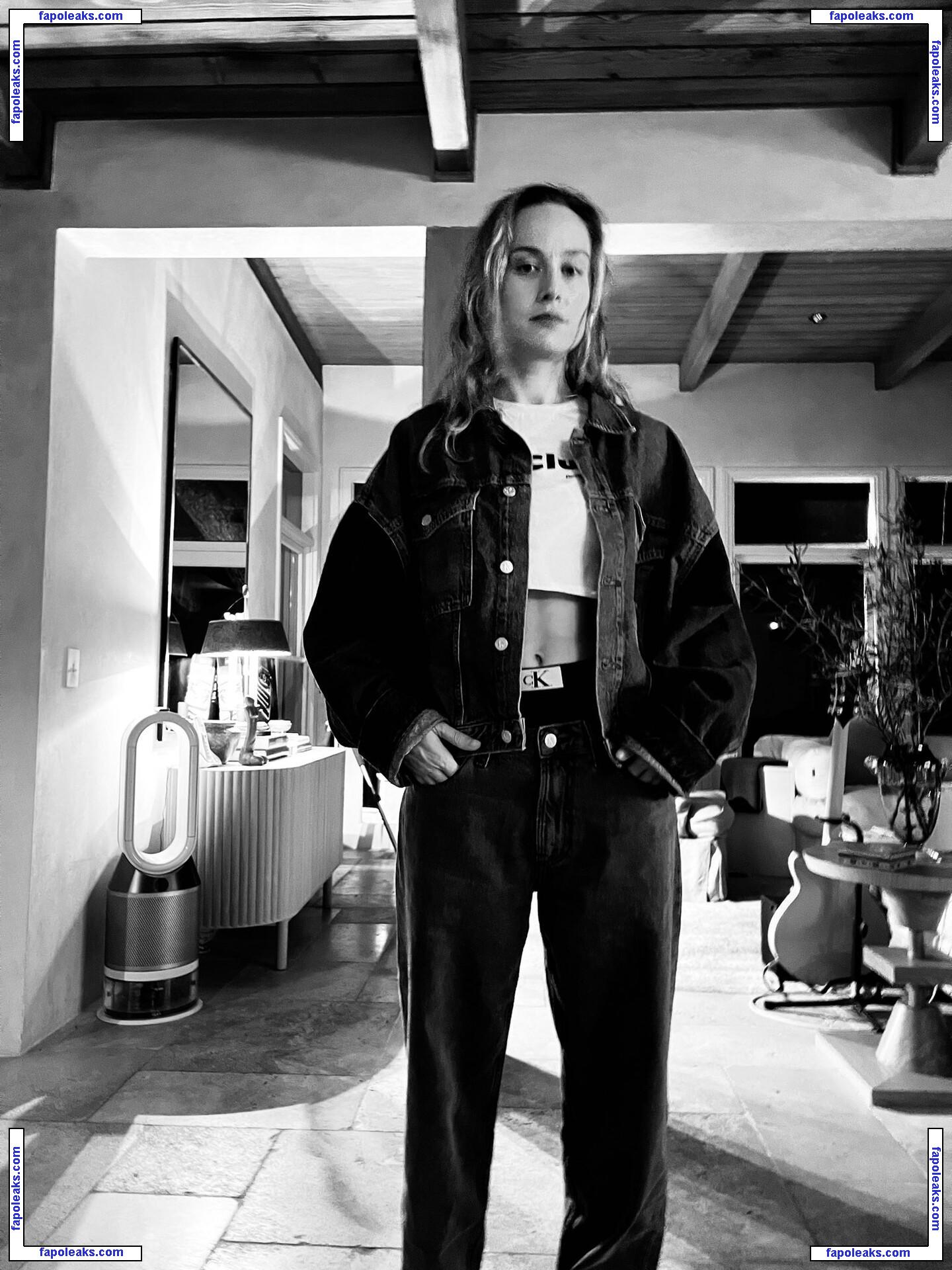 Brie Larson / brielarson голая фото #1049 с Онлифанс