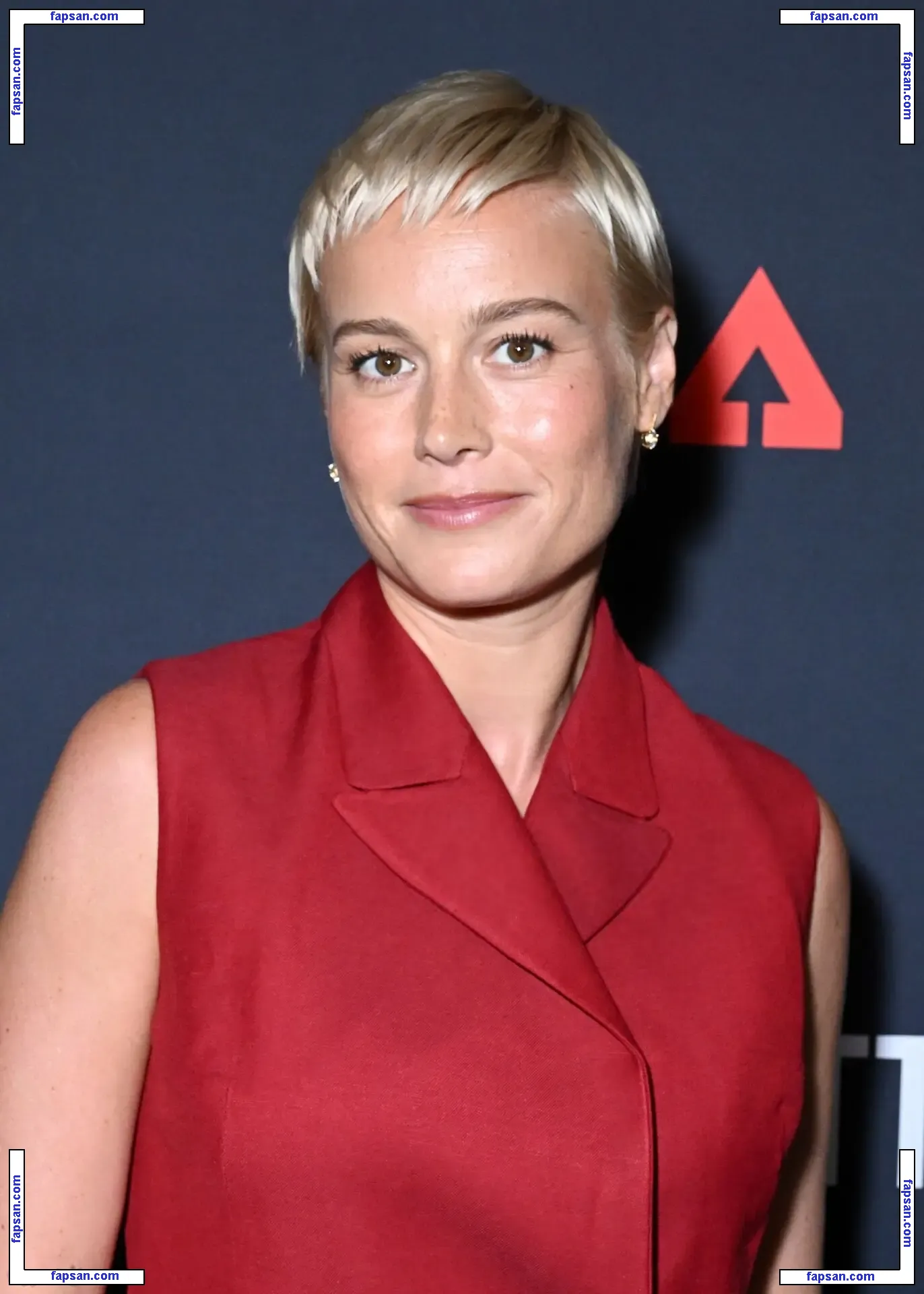 Brie Larson nude photo #1575 from OnlyFans