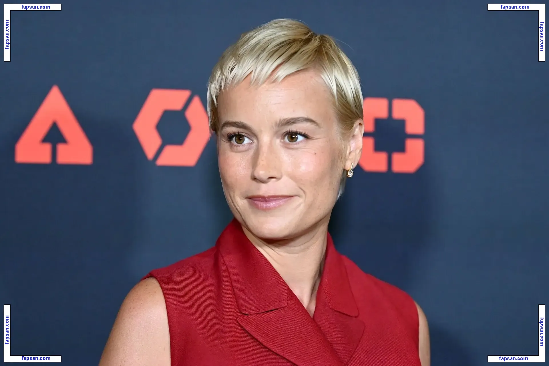 Brie Larson nude photo #1578 from OnlyFans