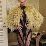 Brigitte Nielsen голая #0036