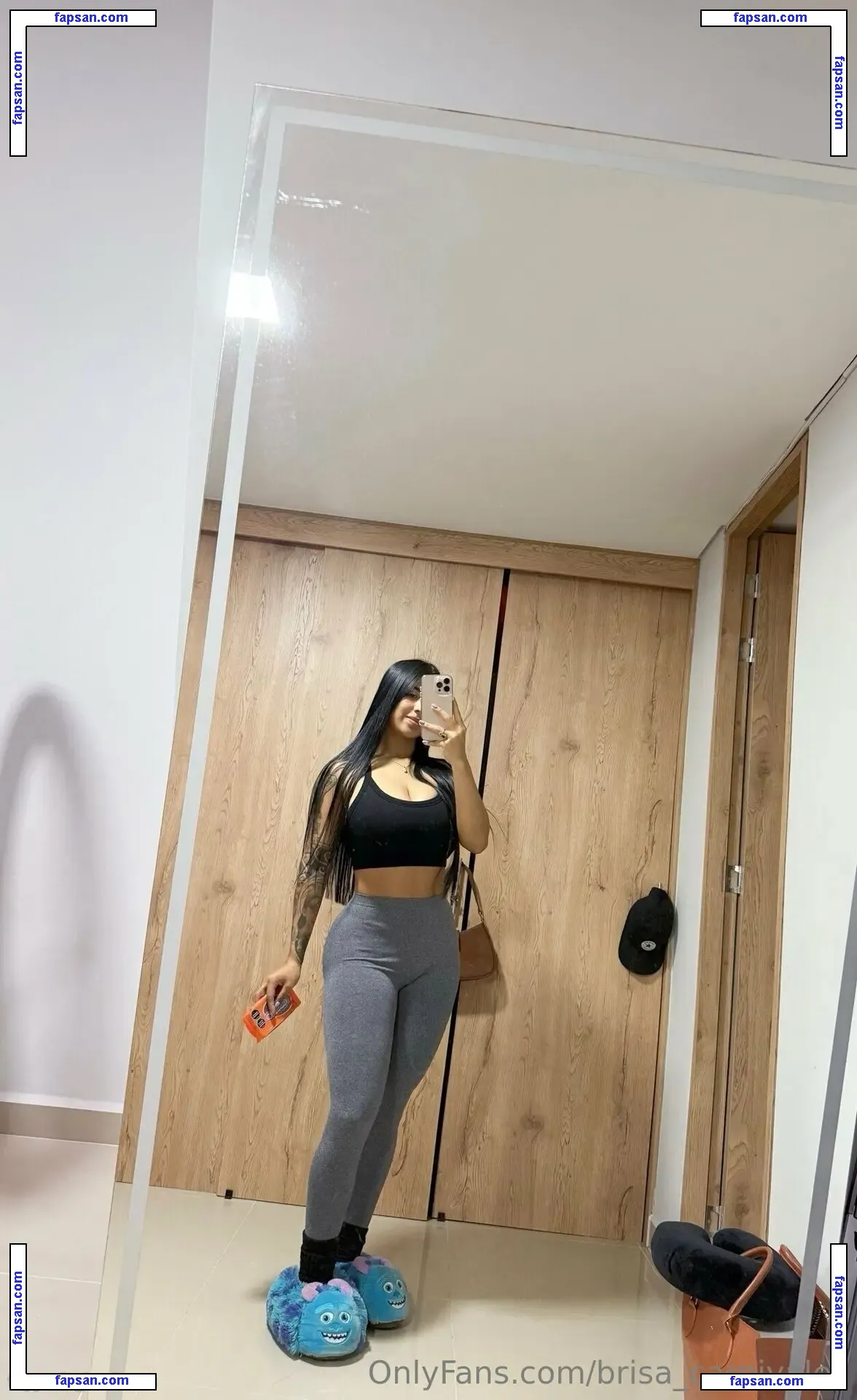 Brisa_carnivales nude photo #0025 from OnlyFans