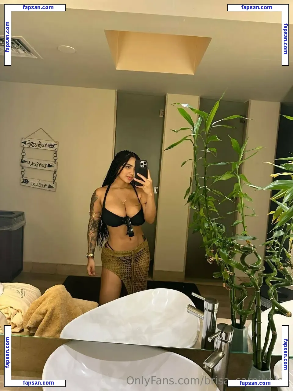 Brisa_carnivales nude photo #0036 from OnlyFans
