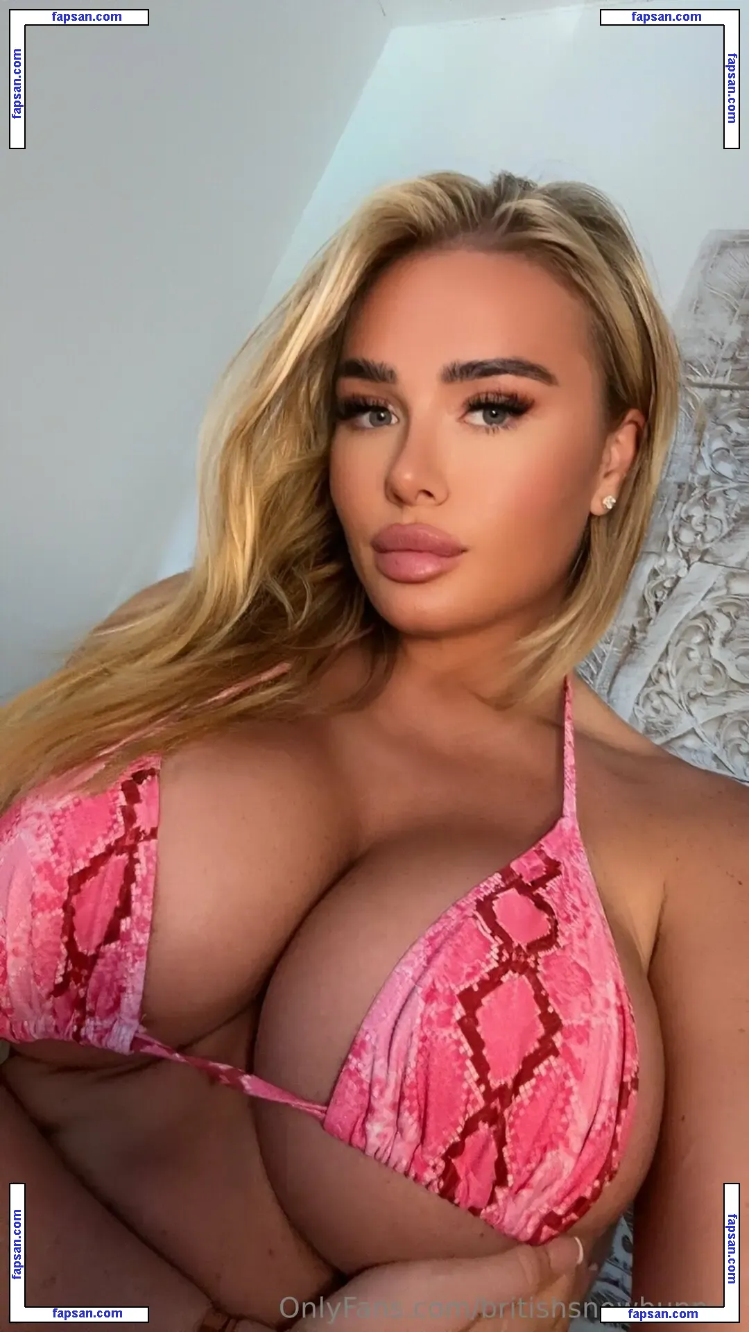 britishsnowbunny nude photo #0010 from OnlyFans
