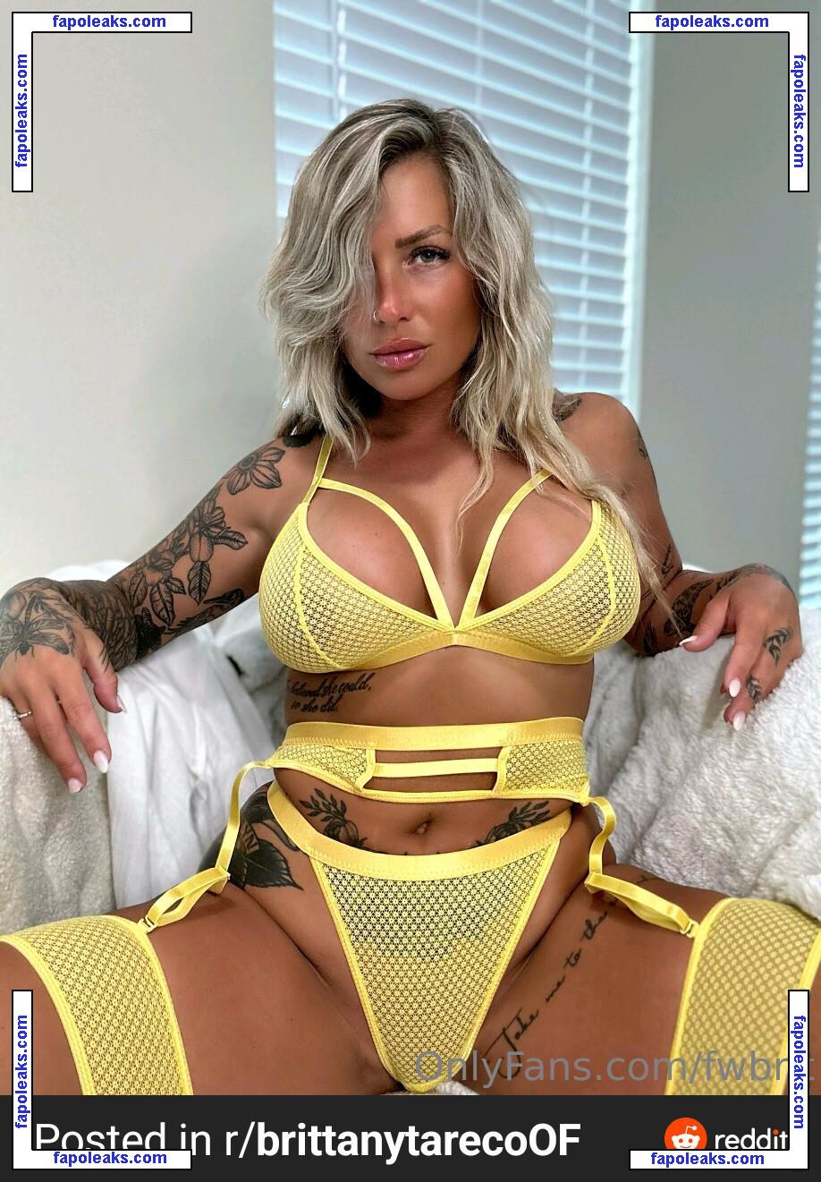 Brittany Tareco / brittanytareco nude photo #0155 from OnlyFans