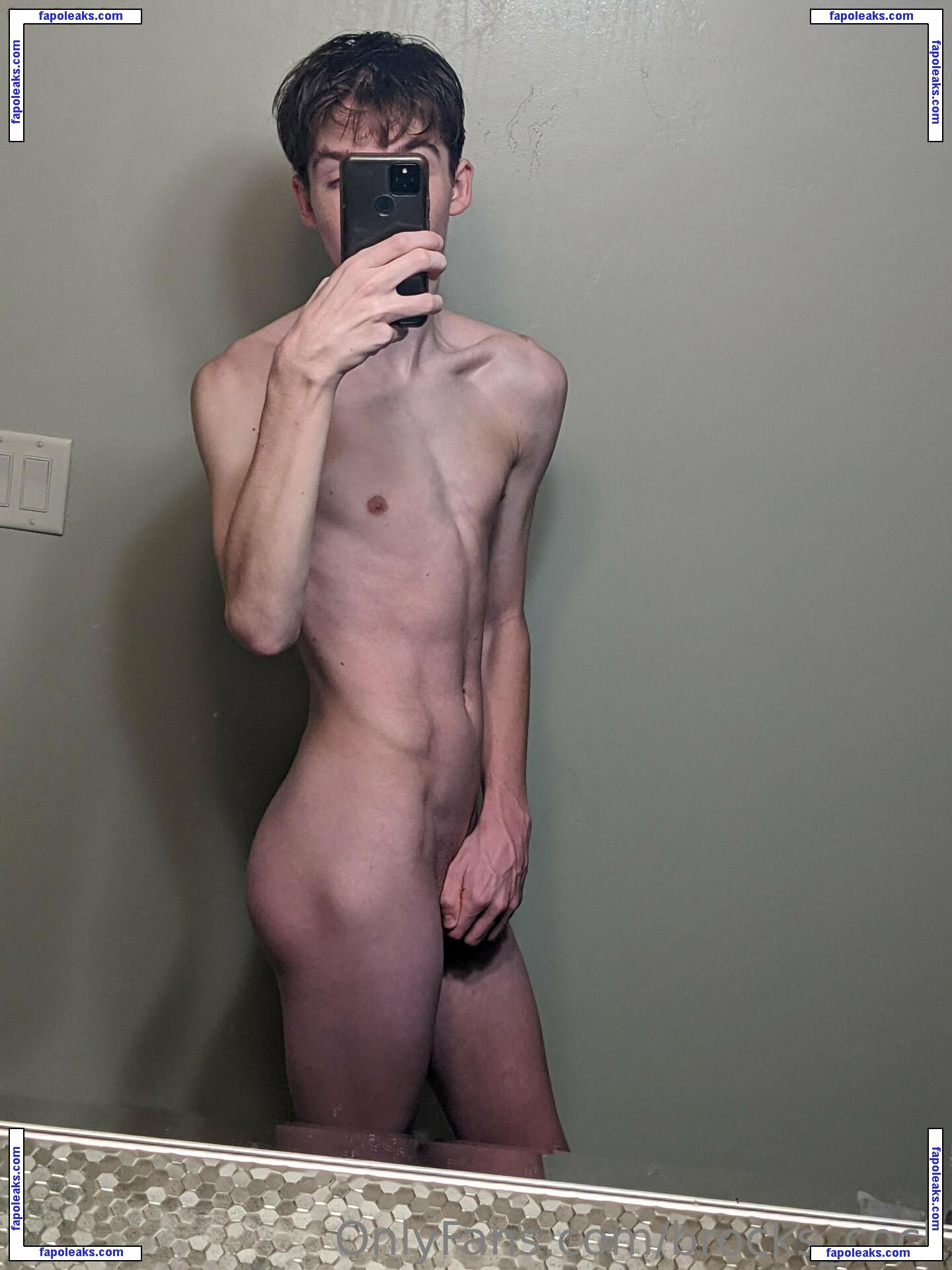 brocks_cock nude photo #0001 from OnlyFans