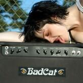 Brody Dalle nude #0011