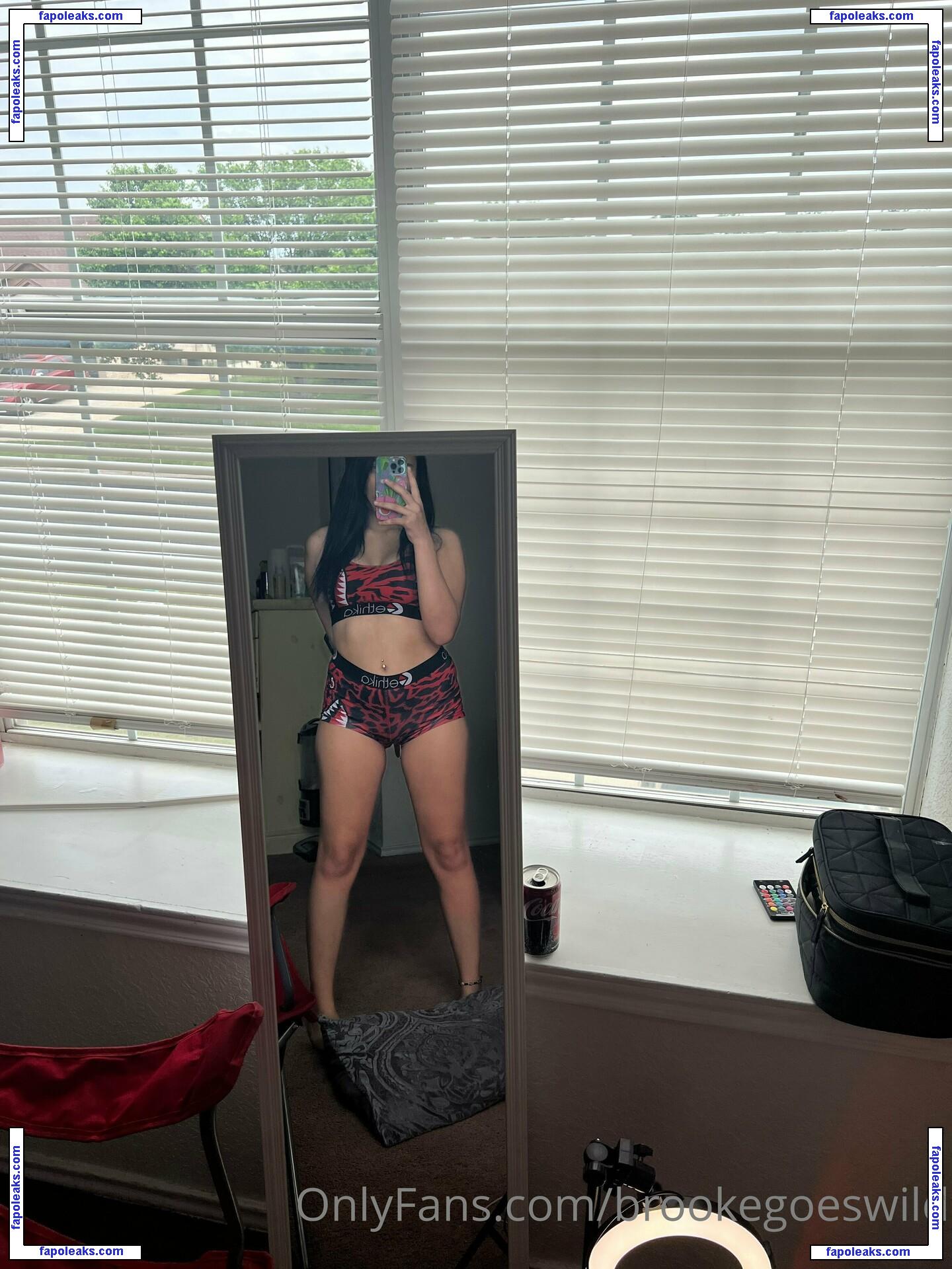 brookegoeswild / brookeashwheeler nude photo #0032 from OnlyFans