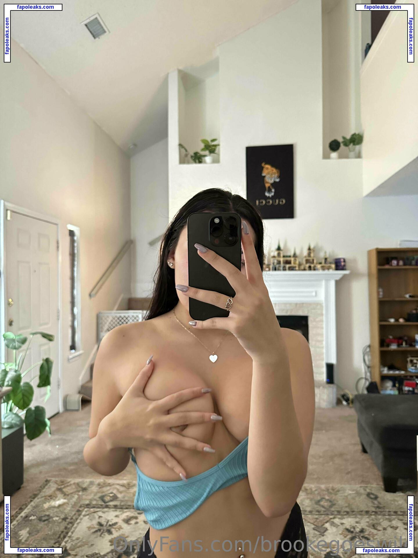 brookegoeswild / brookeashwheeler nude photo #0068 from OnlyFans