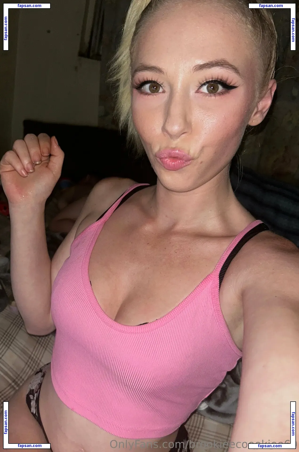 brookieecoookiee69 голая фото #0019 с Онлифанс