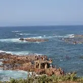 bulletvalentina голая #0055