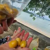 bulletvalentina голая #0075