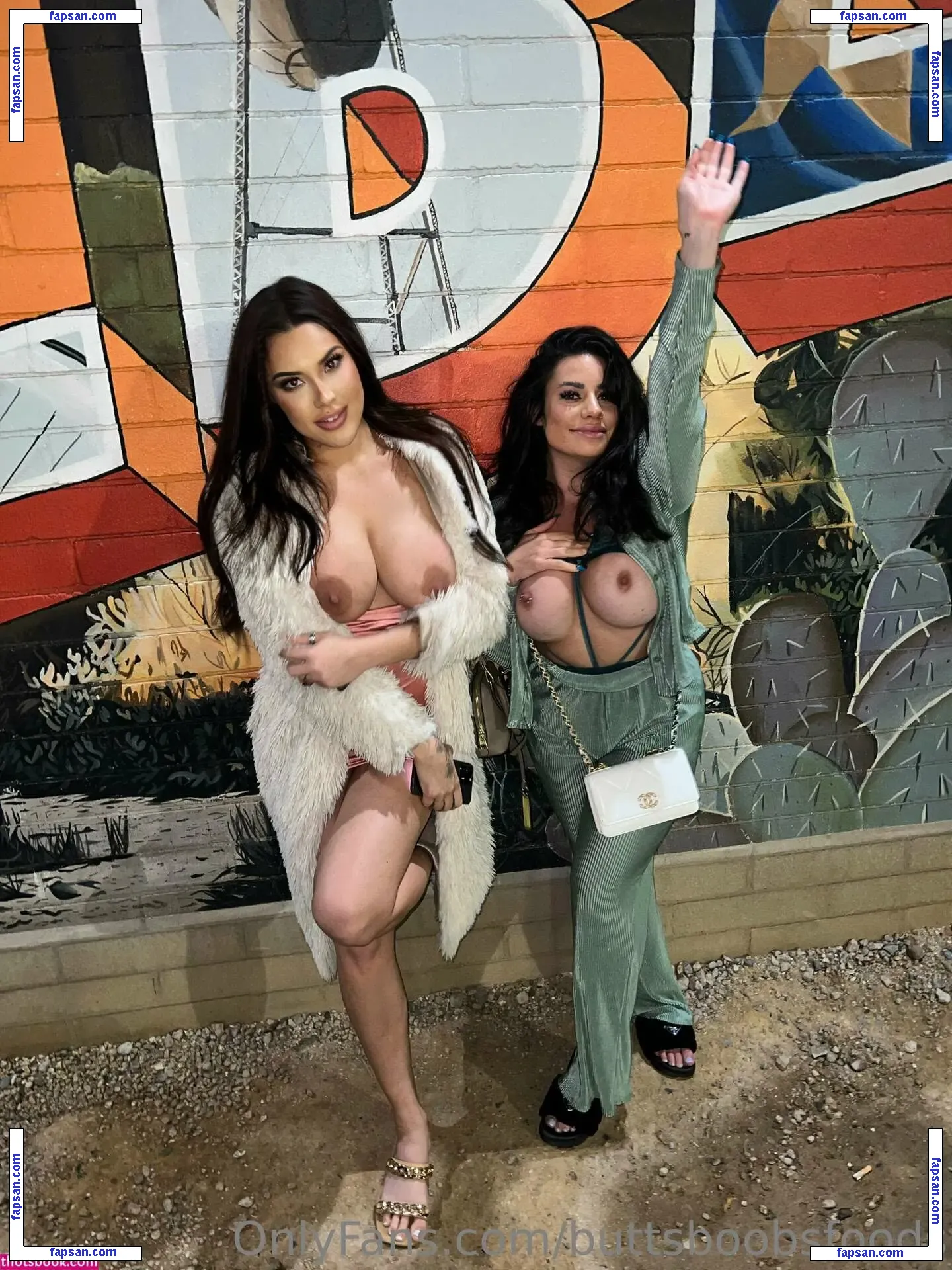 buttsboobsfoods nude photo #0026 from OnlyFans