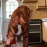 Cakebatter голая #0003