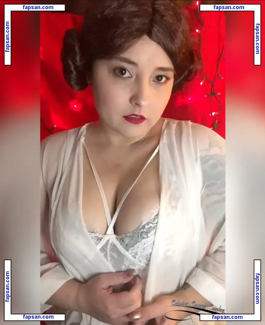 CalmingEscape ASMR nude photo #0015 from OnlyFans