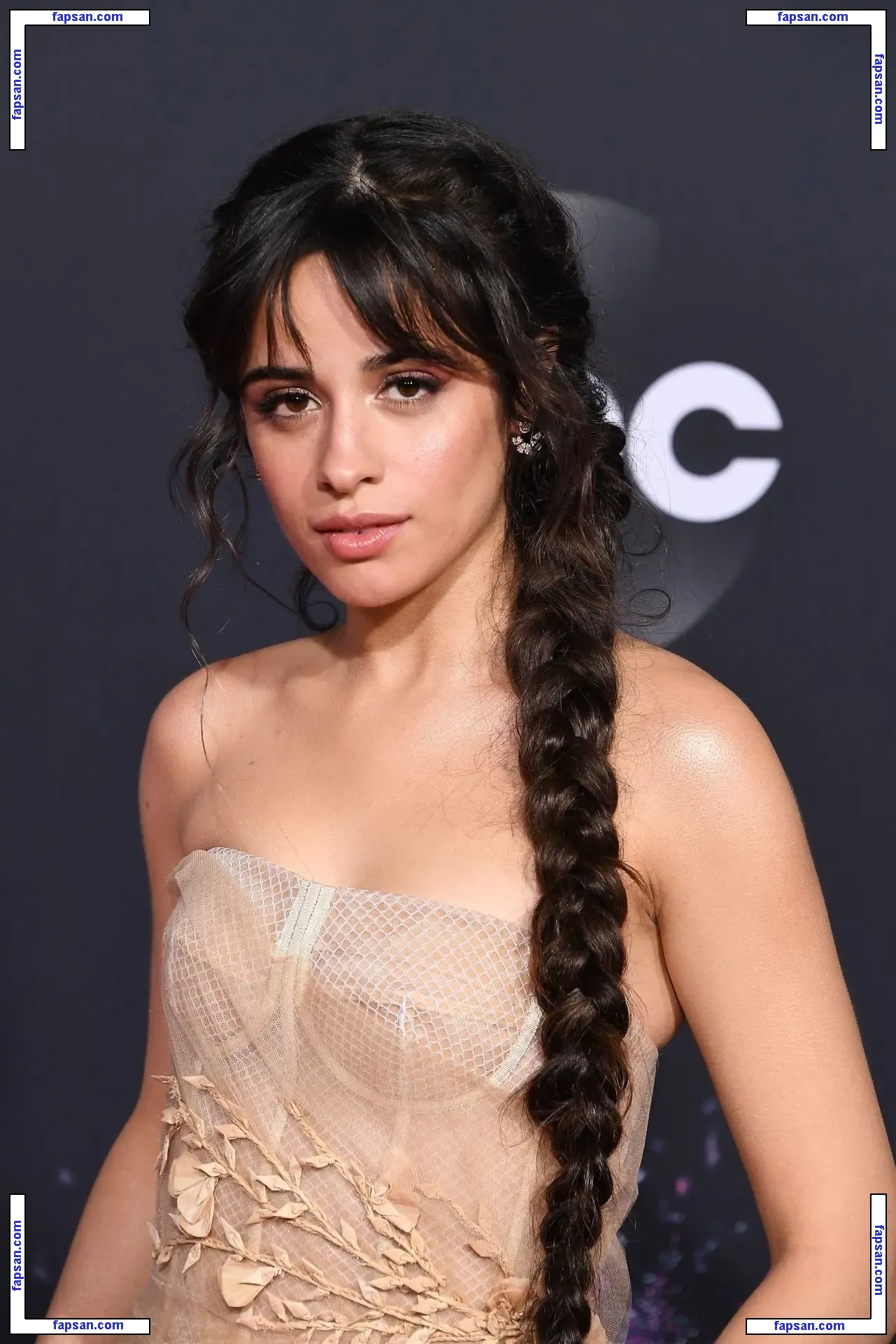 Camila Cabello nude photo #0596 from OnlyFans