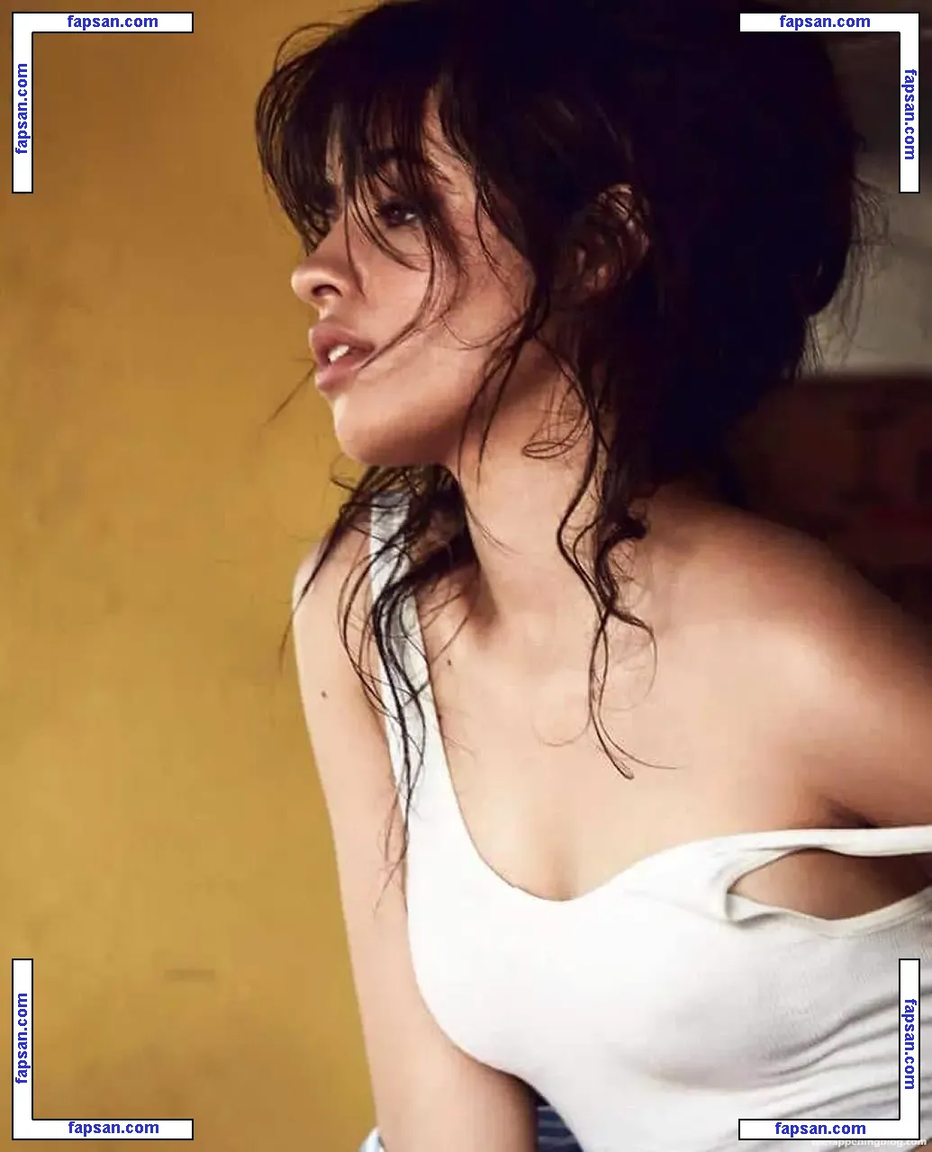 Camila Cabello nude photo #1357 from OnlyFans