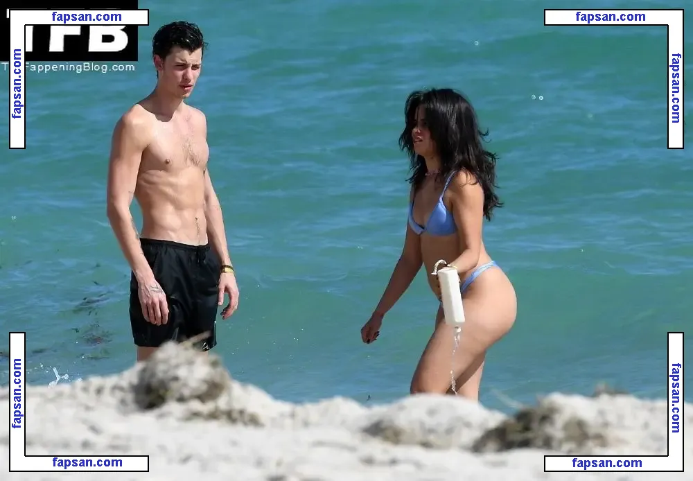 Camila Cabello nude photo #1838 from OnlyFans