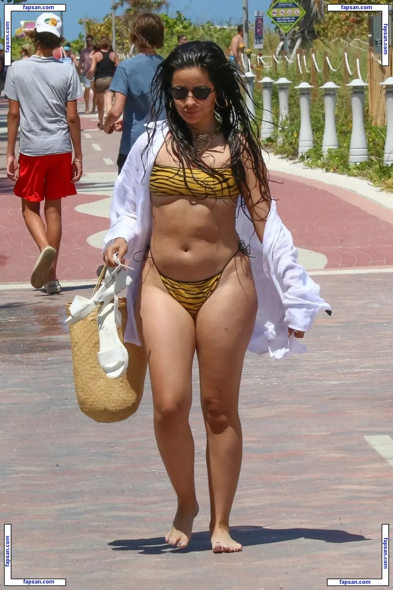 Camila Cabello nude photo #2066 from OnlyFans
