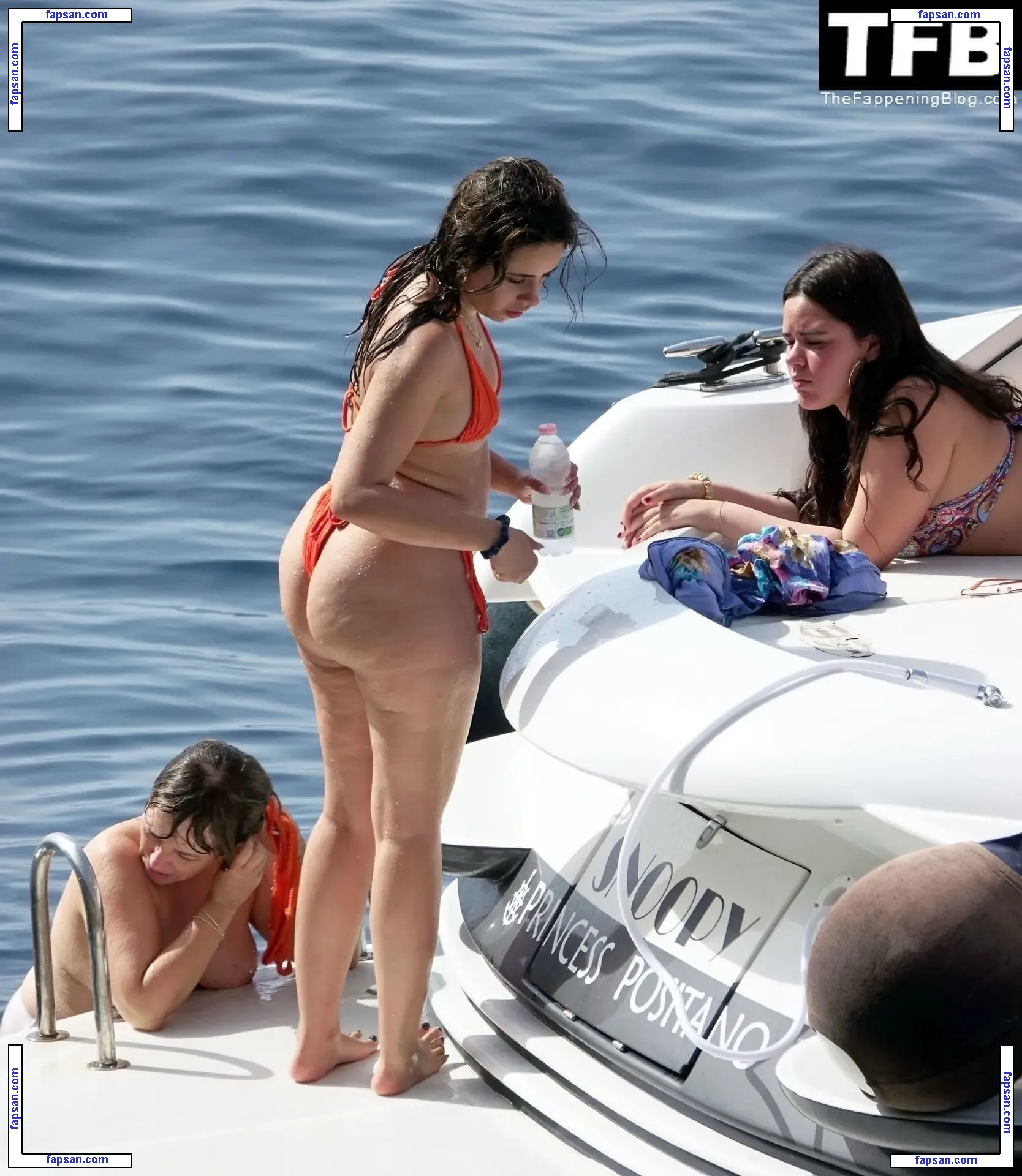 Camila Cabello nude photo #2445 from OnlyFans