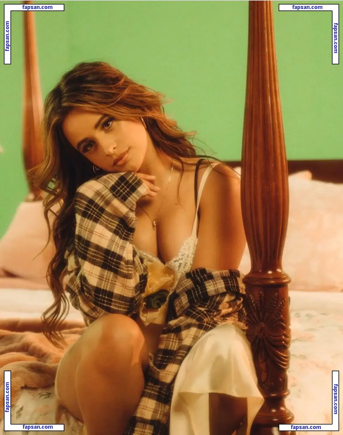 Camila Cabello nude photo #2893 from OnlyFans