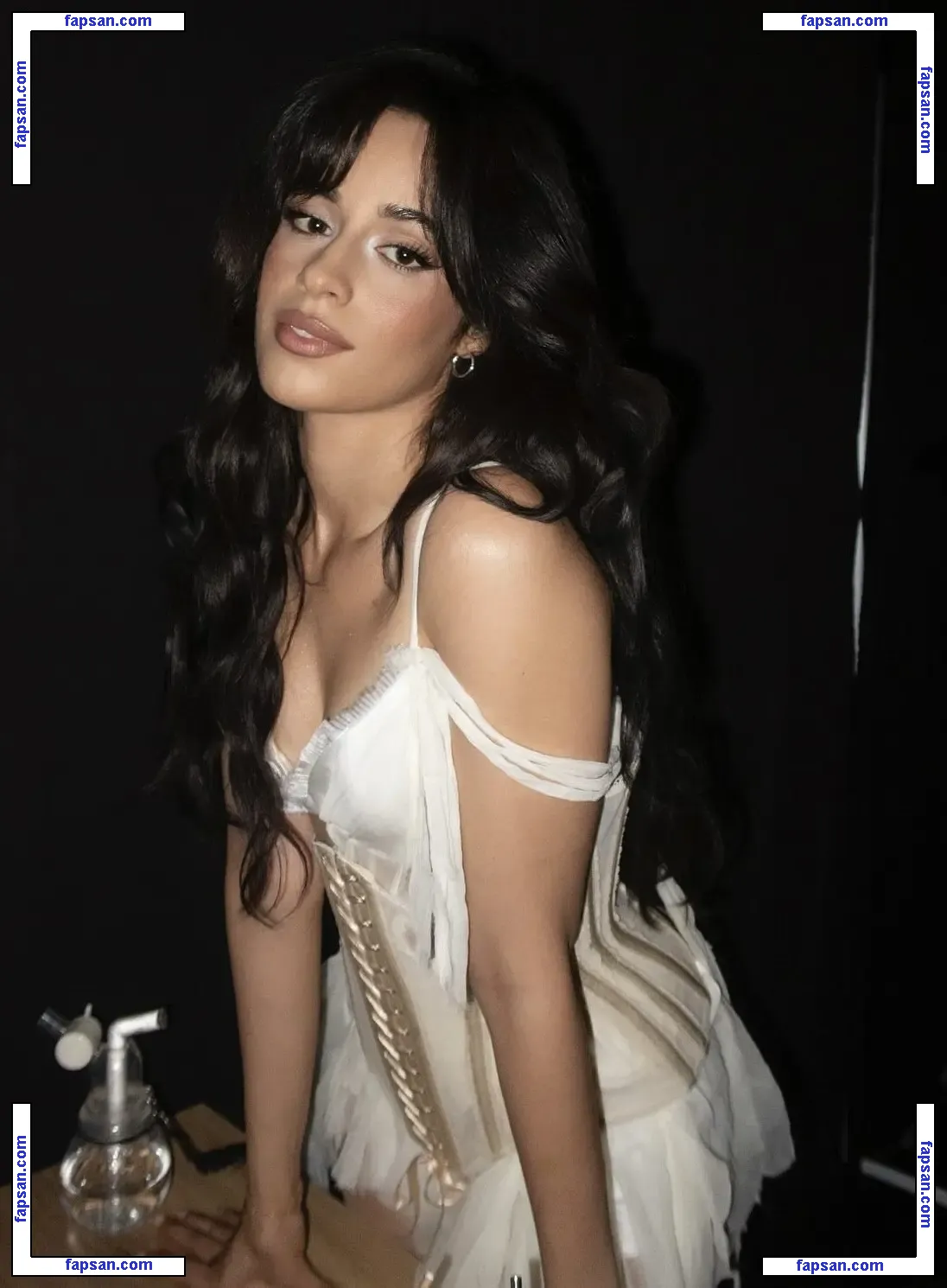 Camila Cabello nude photo #5426 from OnlyFans