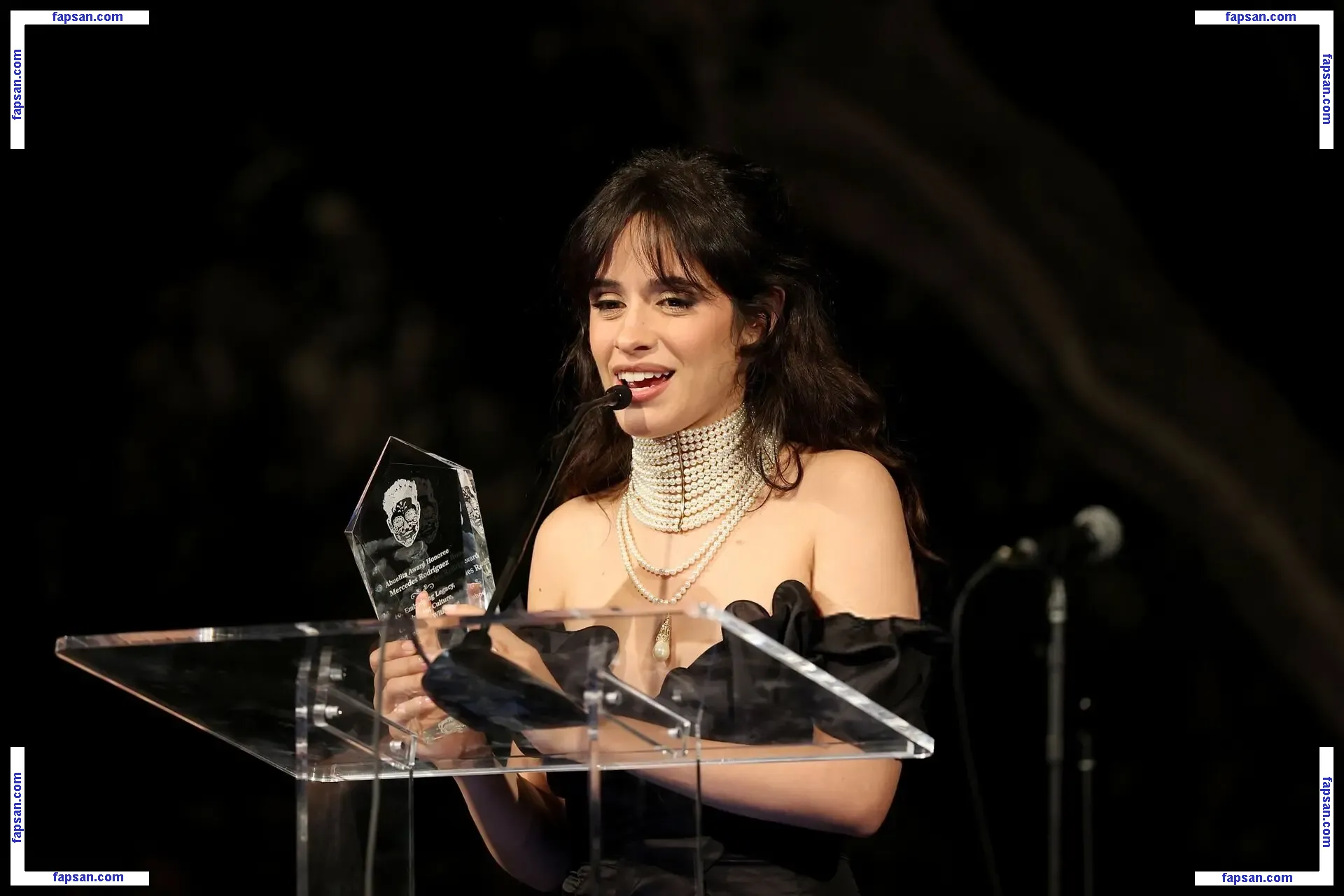 Camila Cabello nude photo #5480 from OnlyFans