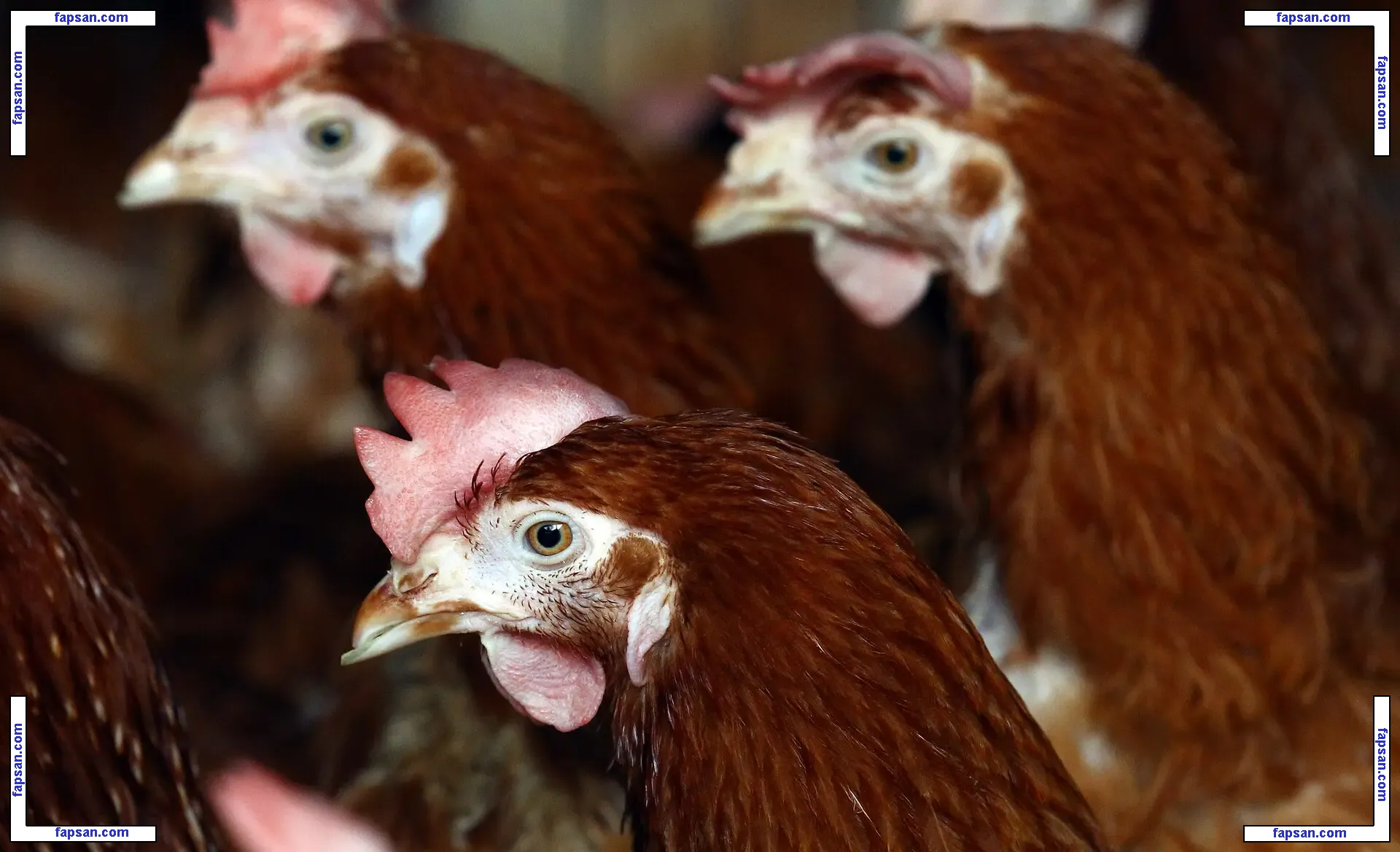 Camille Dhont nude photo #0002 from OnlyFans