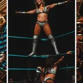 canadiandestoryer nude #0024