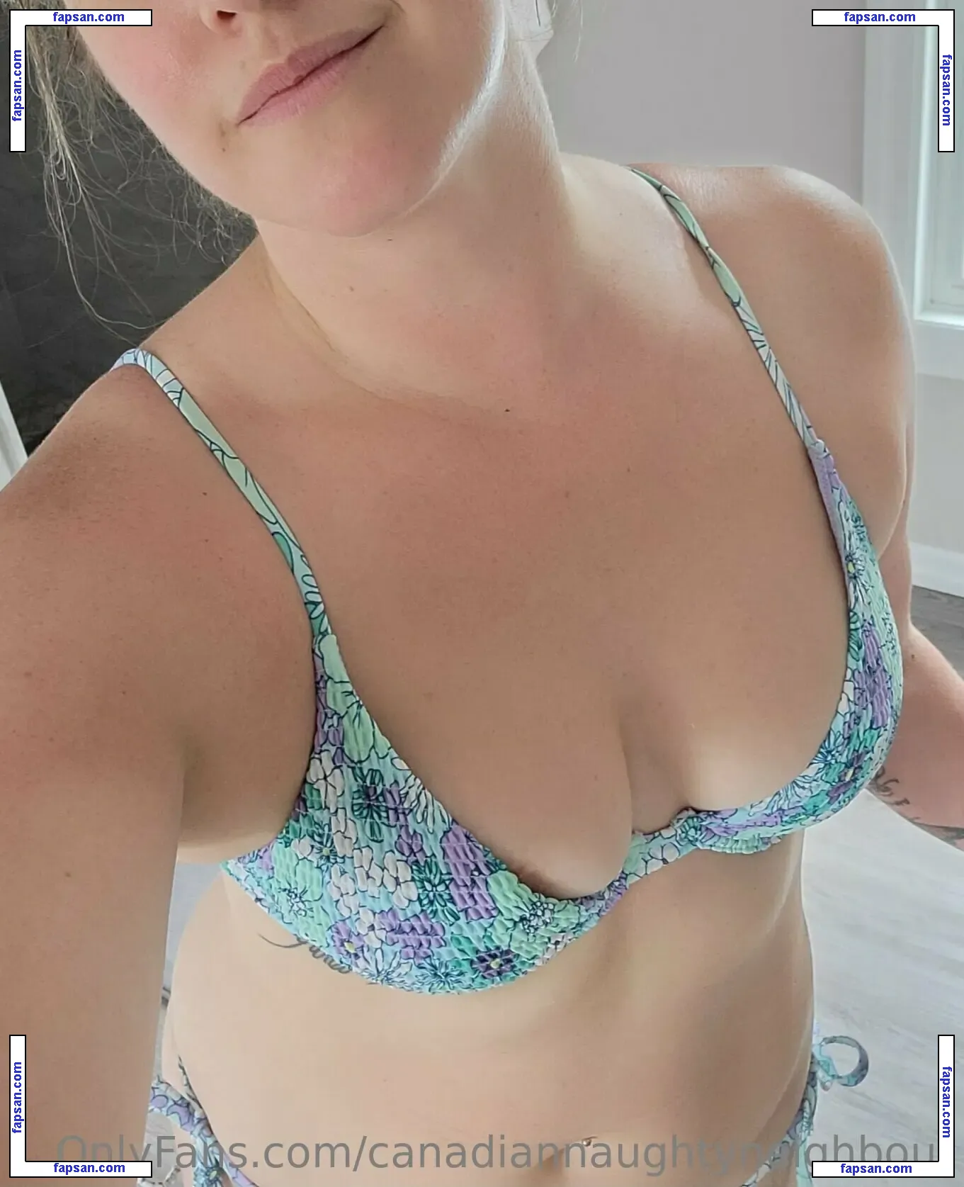 canadiannaughtyneighbour nude photo #0038 from OnlyFans