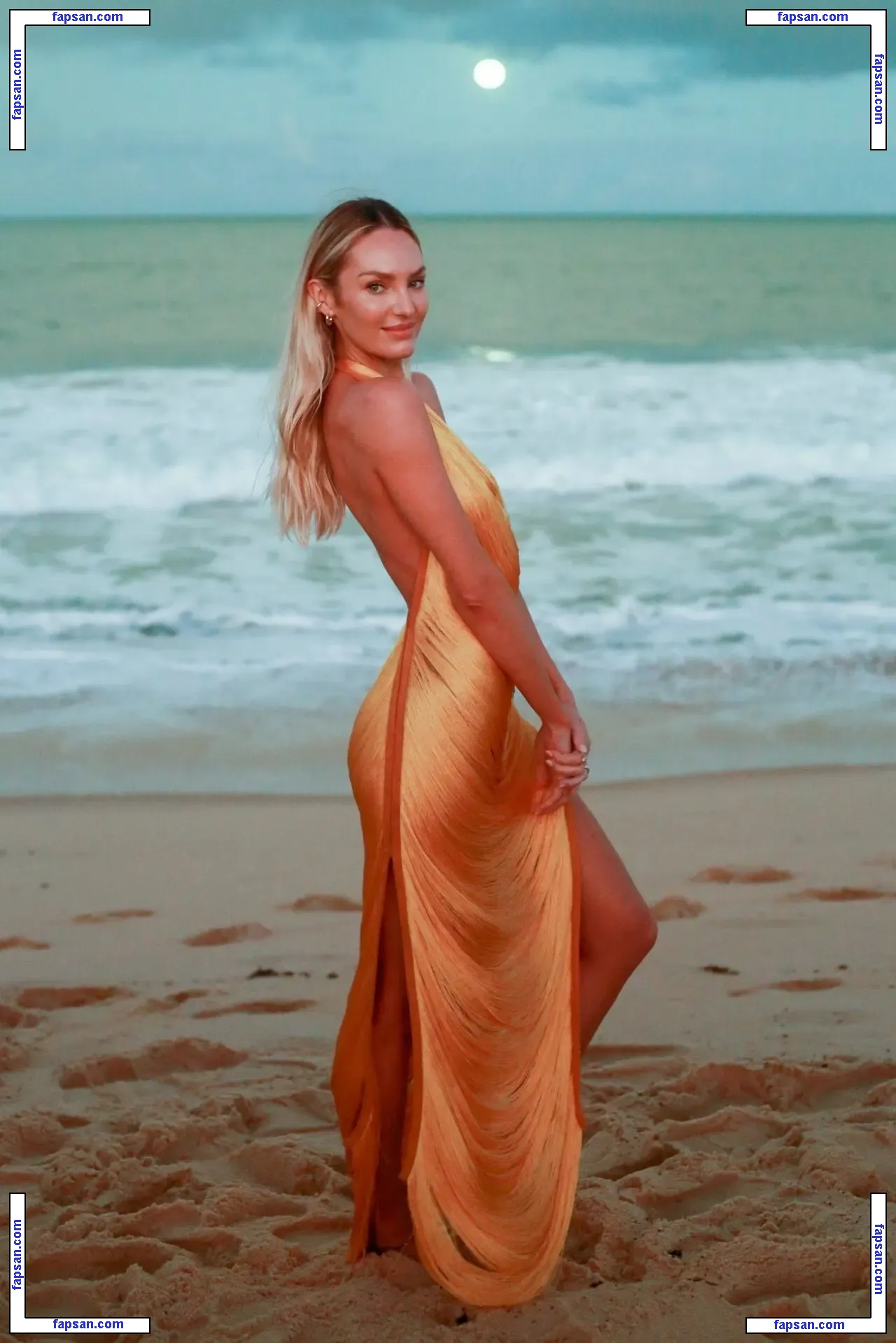 Candice Swanepoel голая фото #4833 с Онлифанс