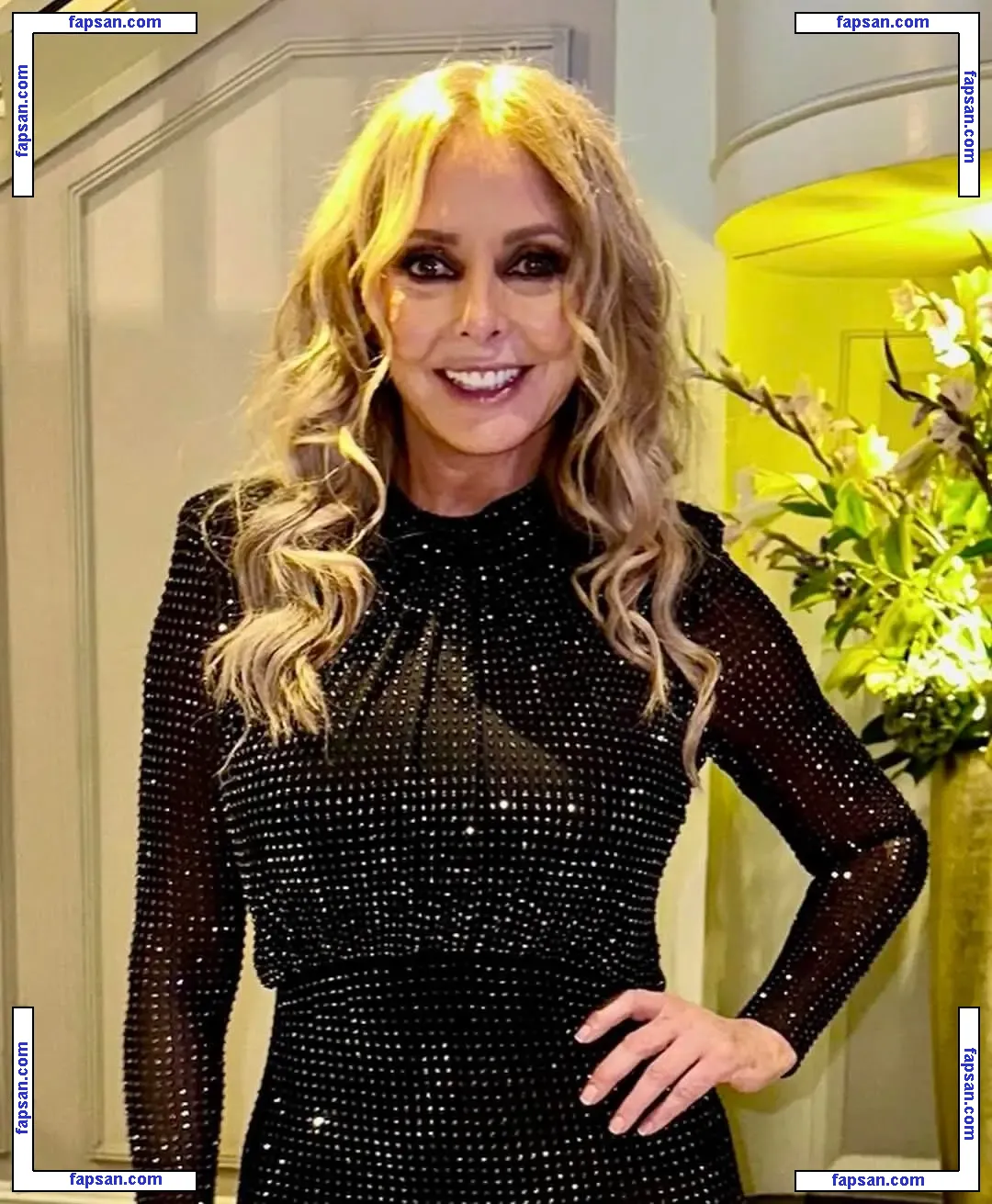 Carol Vorderman nude photo #0907 from OnlyFans