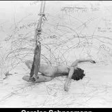 Carolee Schneemann голая #0001