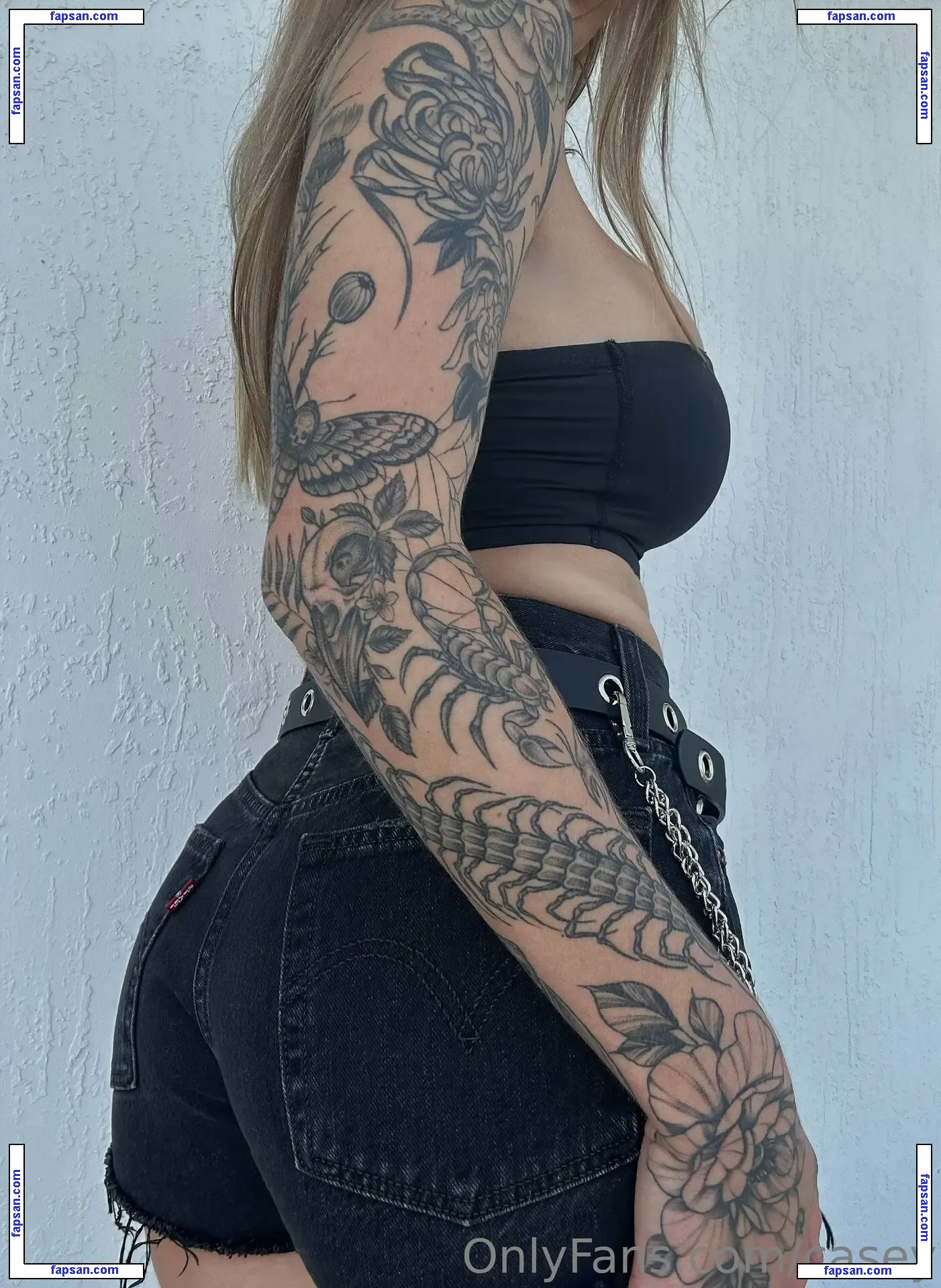 casey nude photo #0022 from OnlyFans