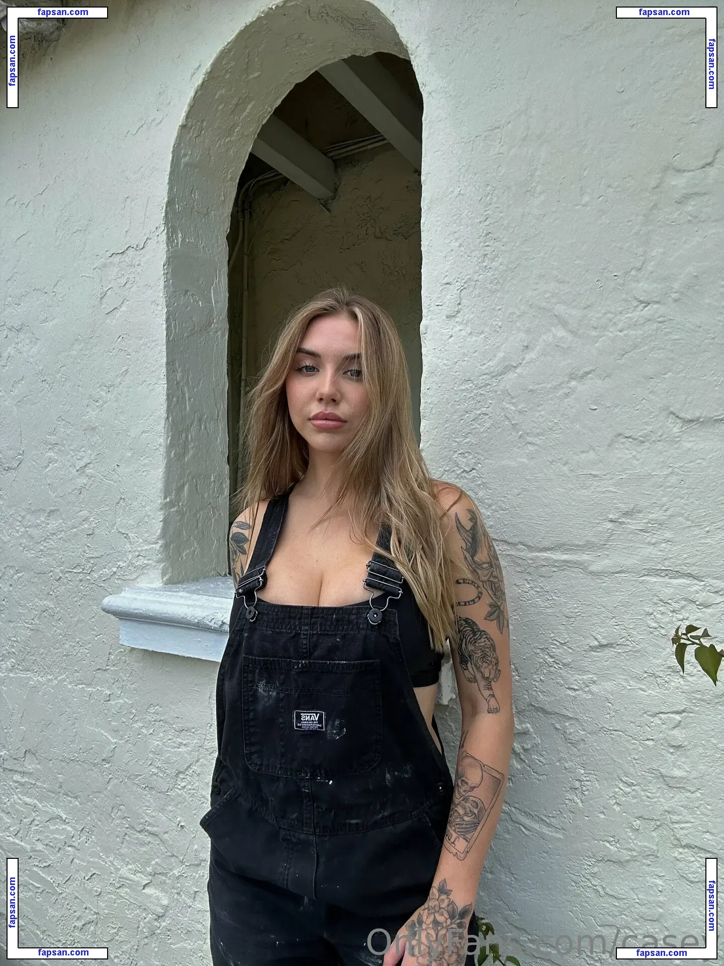 casey nude photo #0037 from OnlyFans
