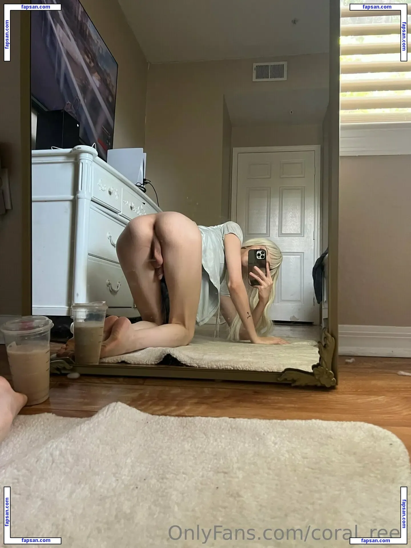 Cassiereef nude photo #0146 from OnlyFans