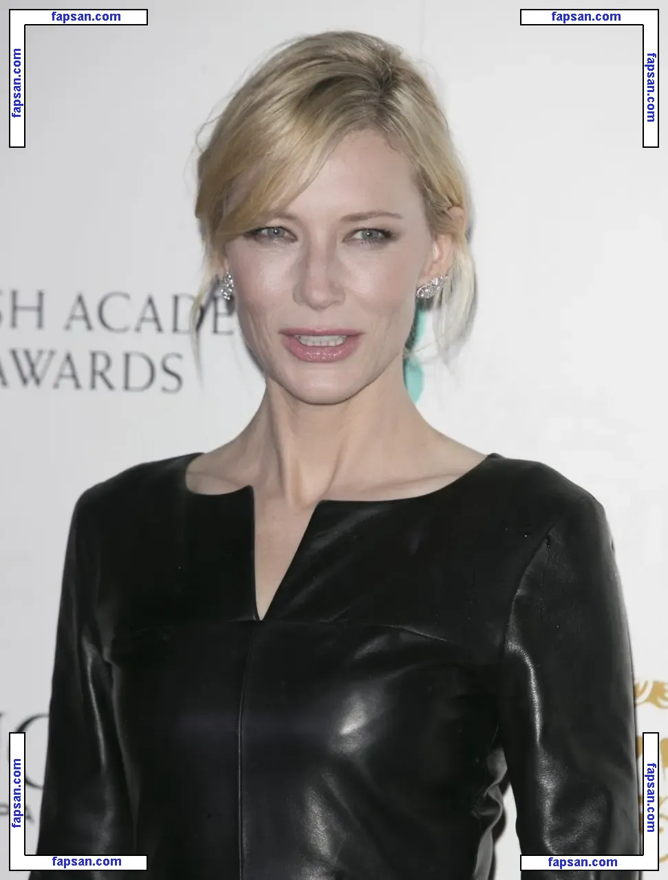 Cate Blanchett nude photo #0003 from OnlyFans