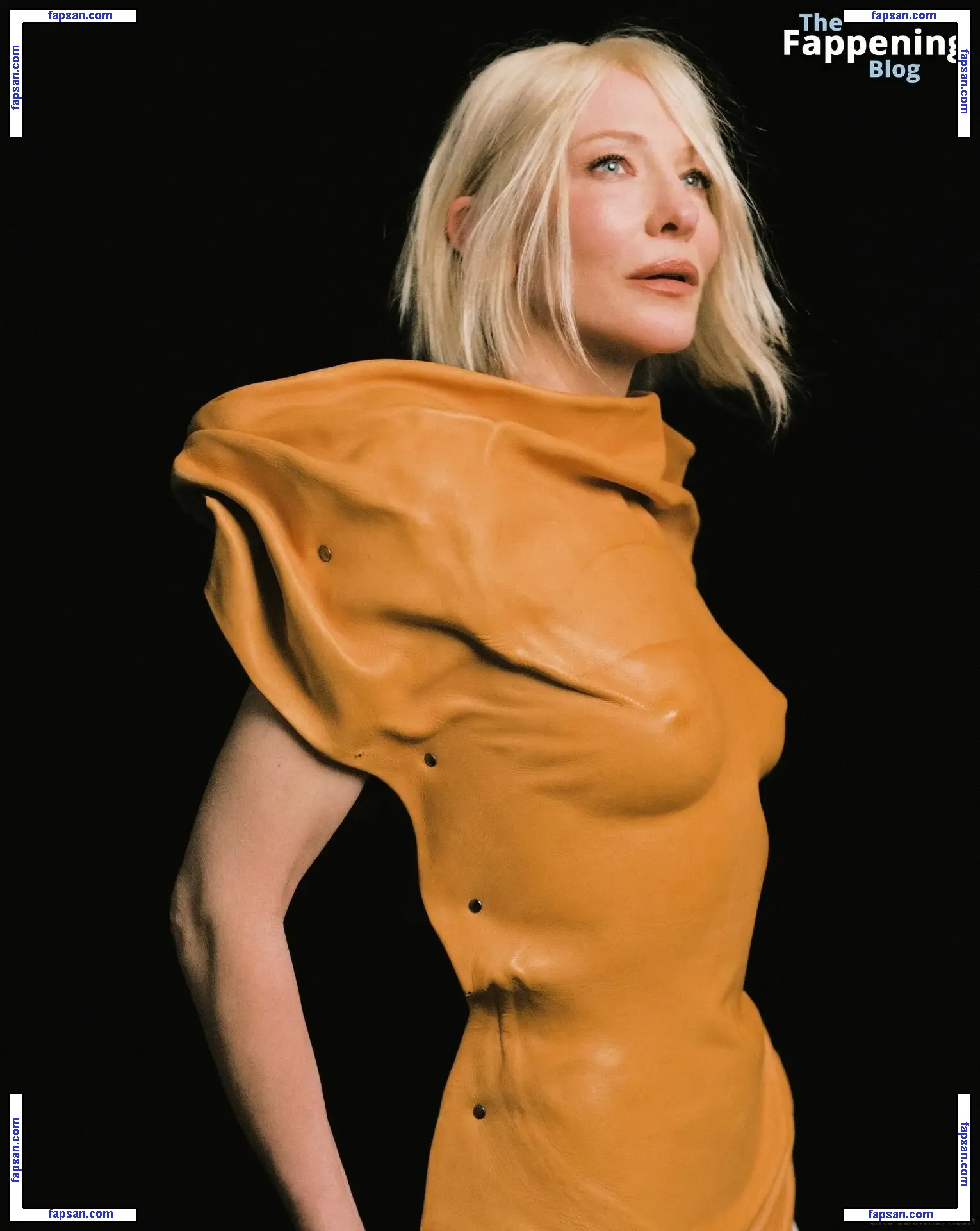 Cate Blanchett nude photo #0220 from OnlyFans