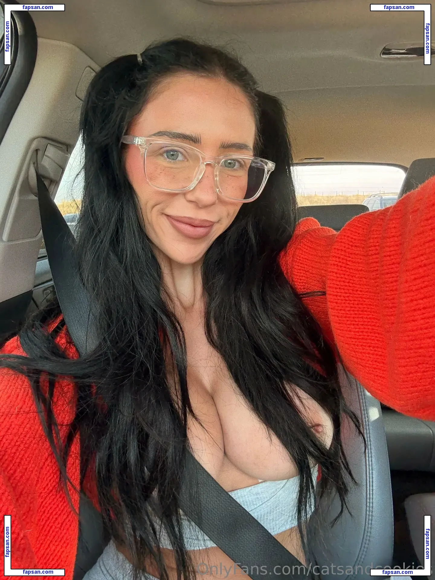 Catsandcookies nude photo #0046 from OnlyFans