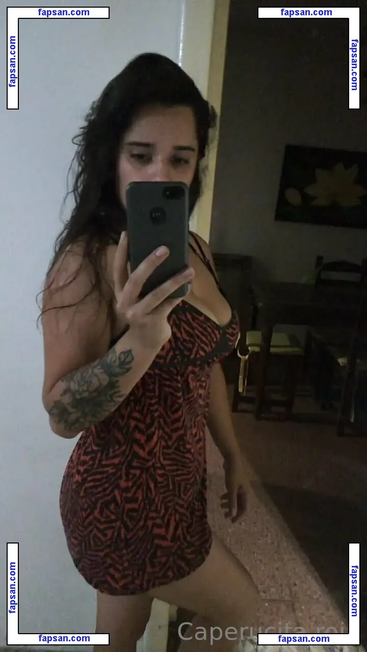 ccaperuuci nude photo #0005 from OnlyFans