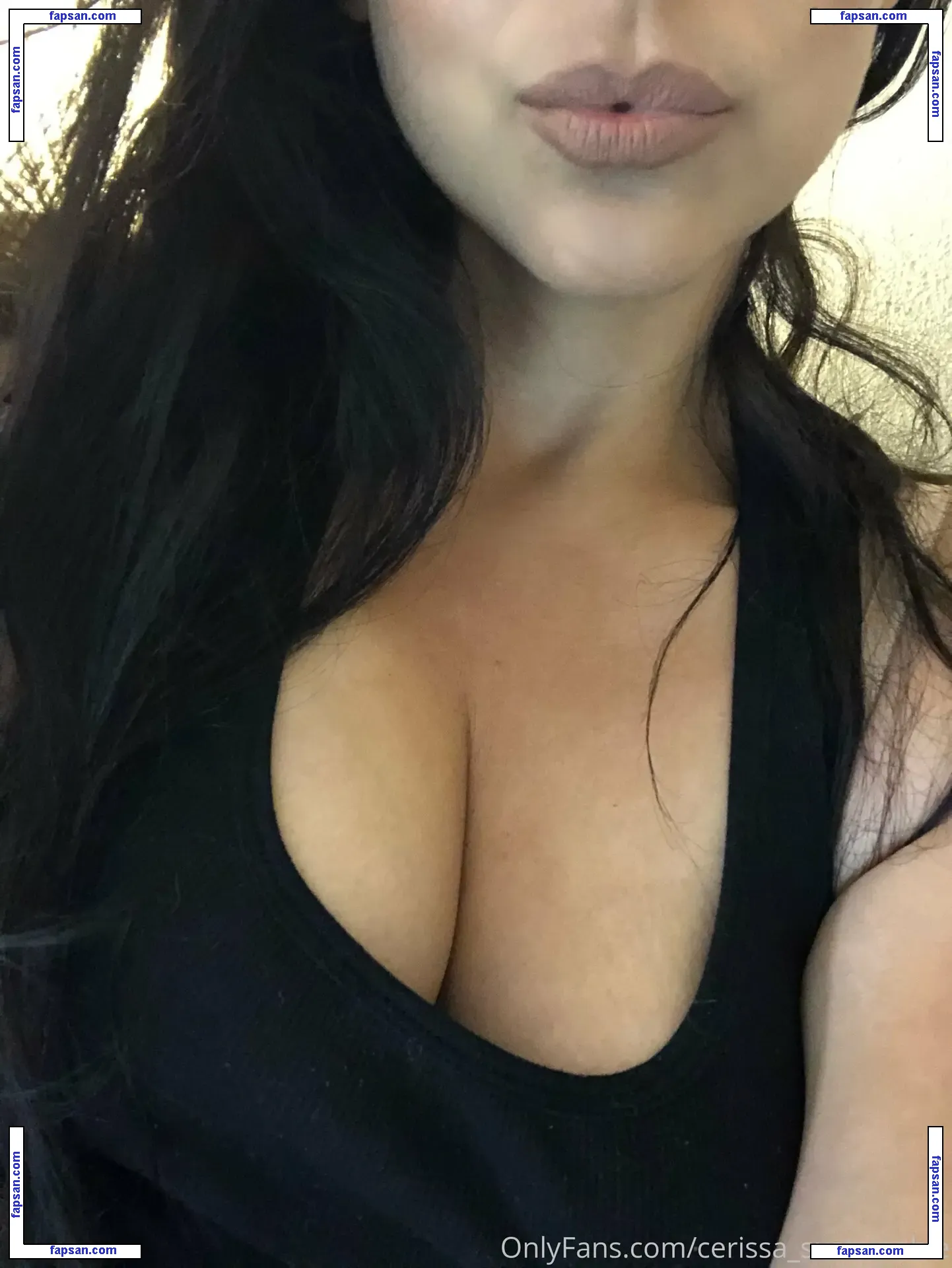 cerissa nude photo #0002 from OnlyFans