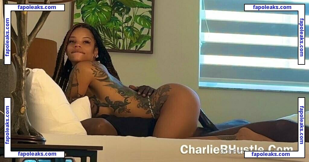 charliebhustlex / mecharliebhustle nude photo #0027 from OnlyFans