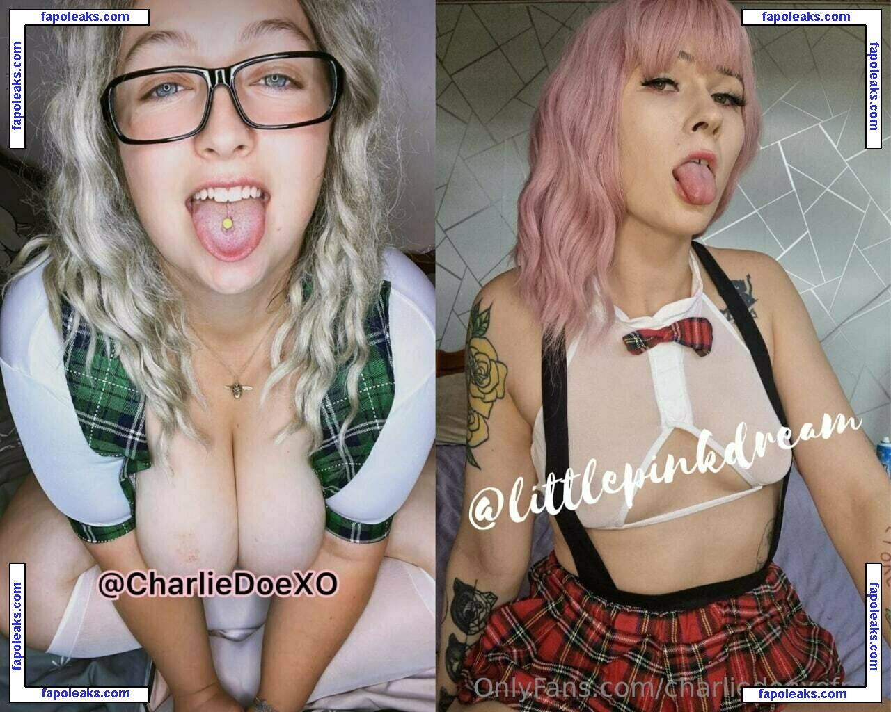 charliedoexofree / charliedoodlefro nude photo #0127 from OnlyFans