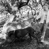 Charlize Theron nude #2150