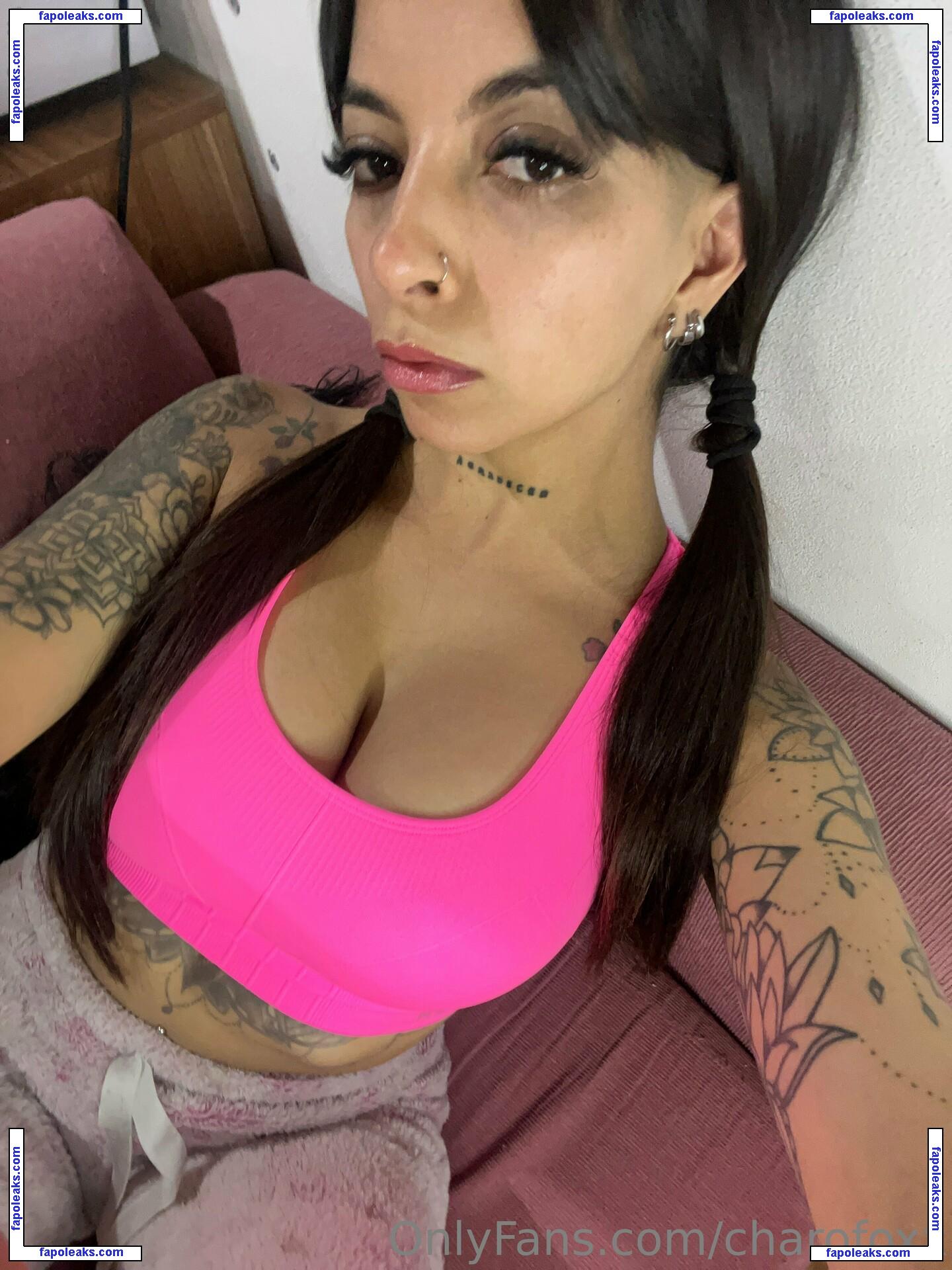 charofoxx / charlfoxx nude photo #0012 from OnlyFans