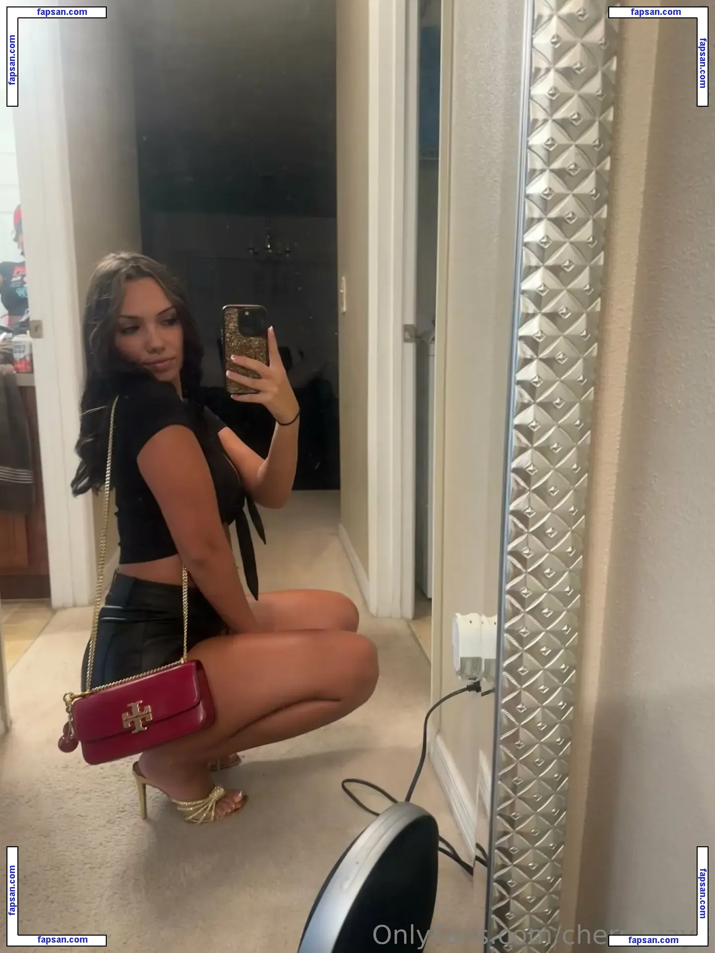 cherry_jay3 nude photo #0012 from OnlyFans