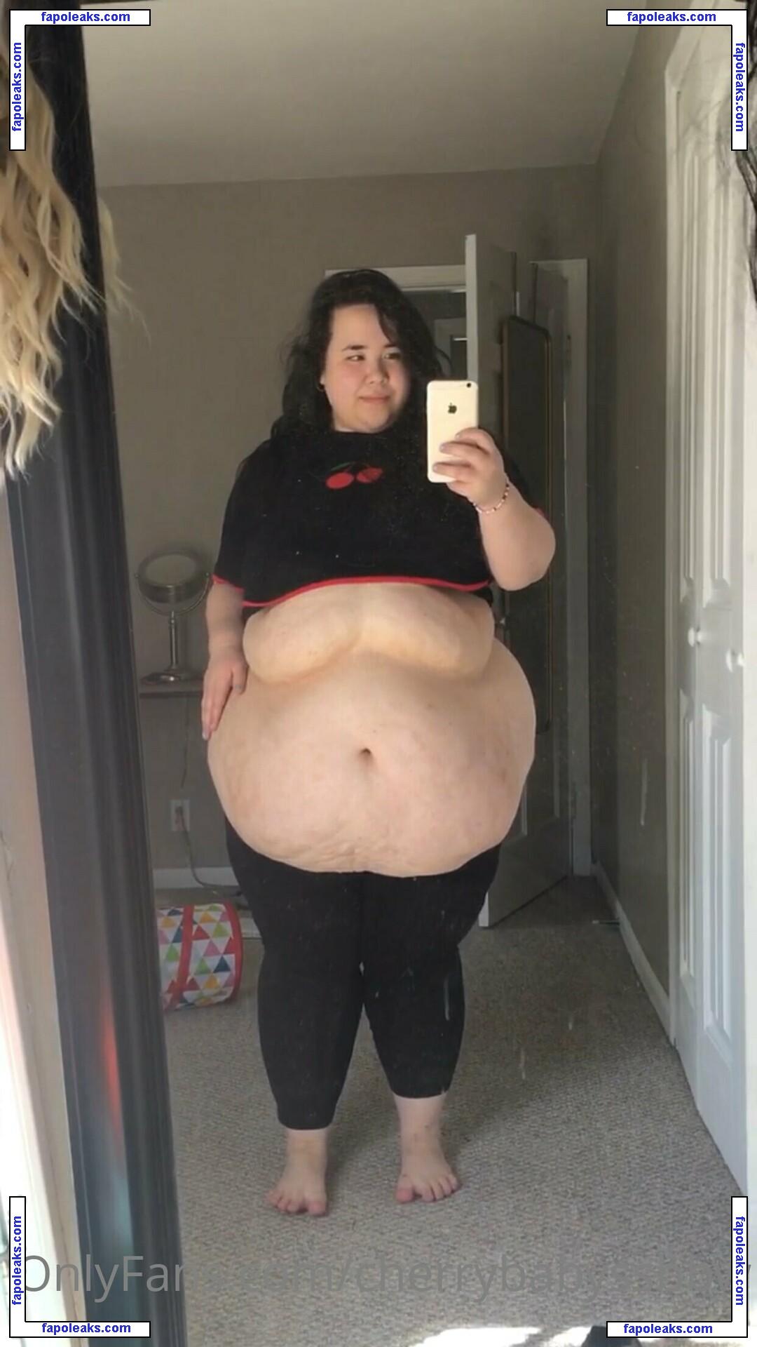 cherrybabyssbbw nude photo #0005 from OnlyFans