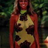 Cheryl Tiegs голая #0003