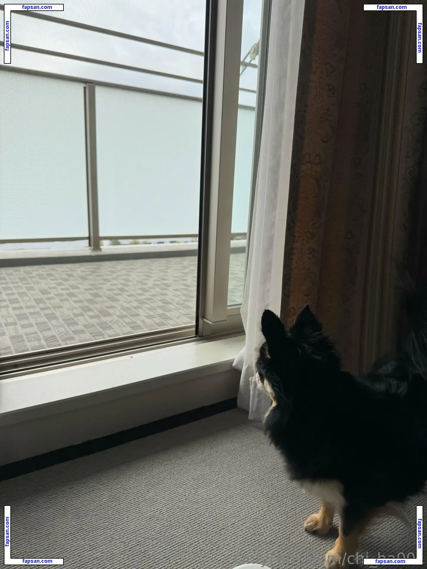 chi_ha001 nude photo #0026 from OnlyFans